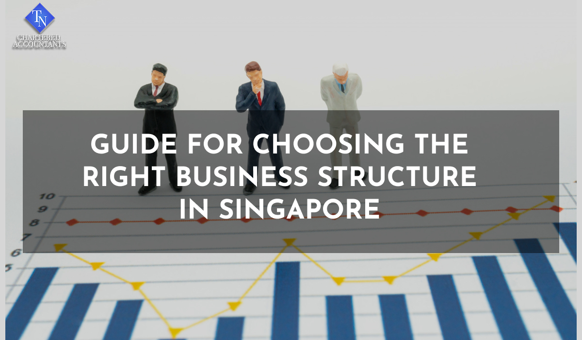 Guide for Choosing the Right Business Structure in Singapore